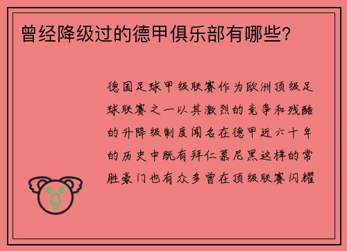 曾经降级过的德甲俱乐部有哪些？
